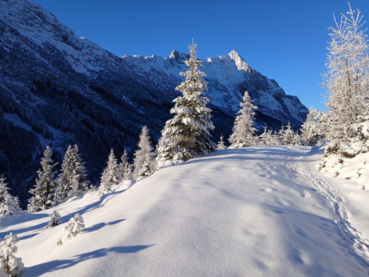 geführte Winterwanderungen und Schneeschuhtouren